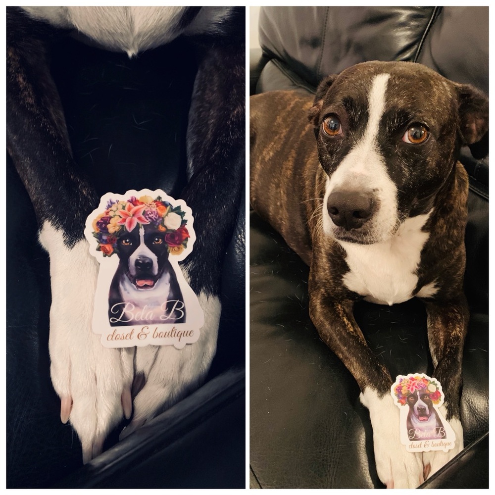 🐶FREE w/purchase LULI BELA B STICKER💫